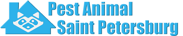 Saint Petersburg Wildlife and Animal Removal